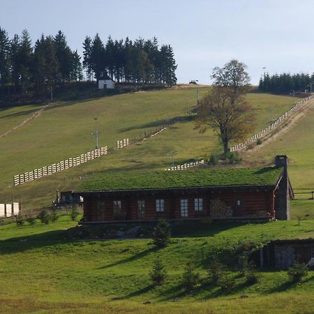 Sruby Haida Ceske Petrovice Buitenkant foto