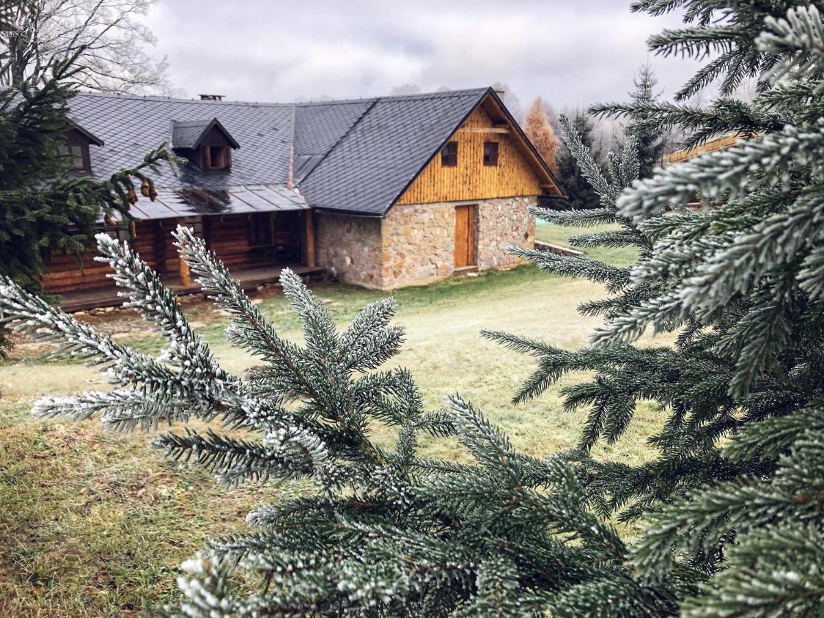 Sruby Haida Ceske Petrovice Buitenkant foto