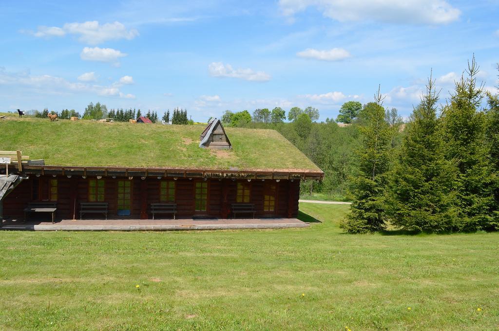 Sruby Haida Ceske Petrovice Buitenkant foto